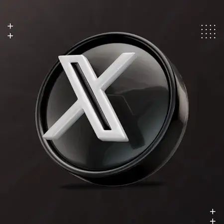 X (Twitter)